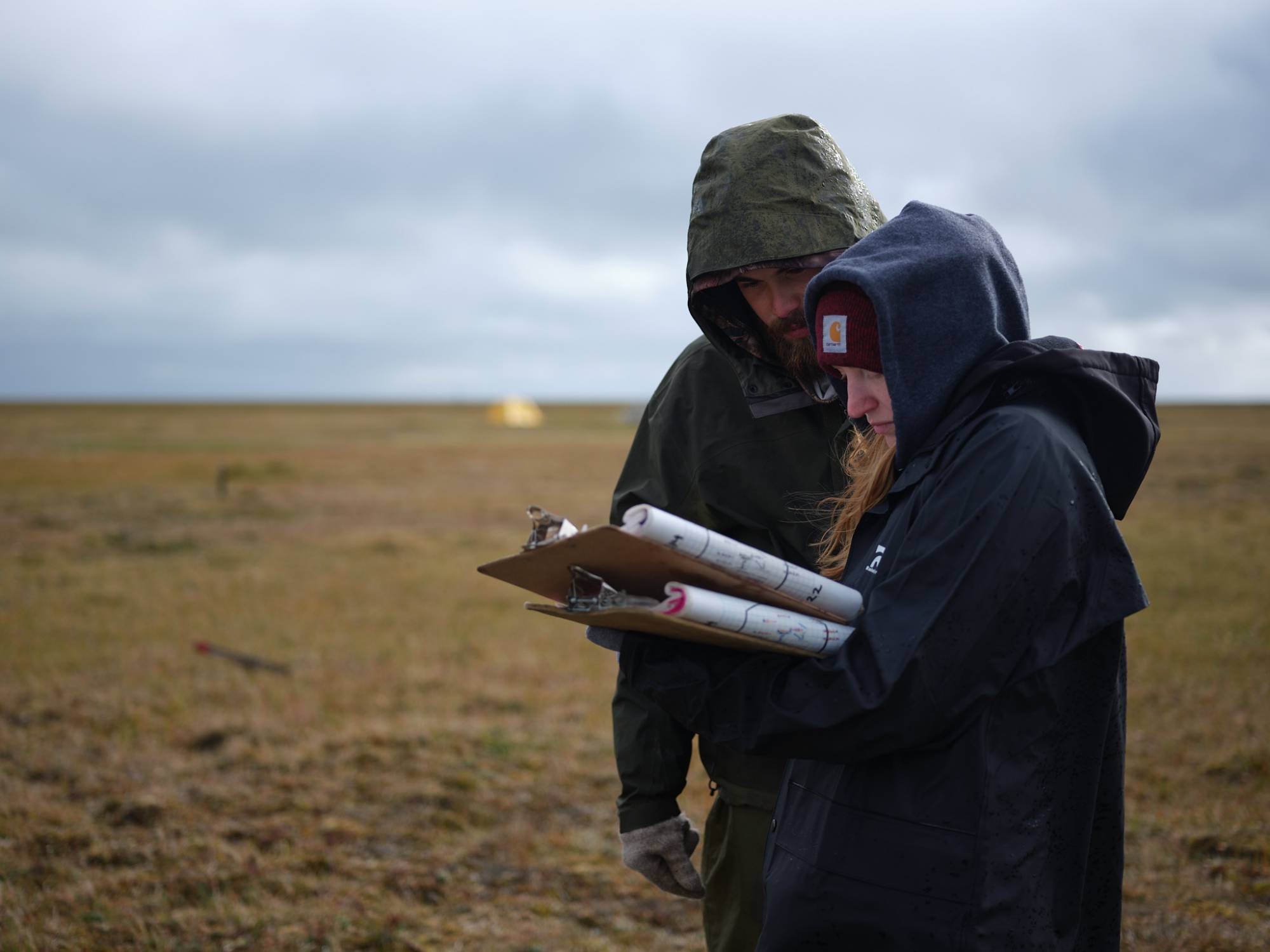 Sam and Taylor Doorn recording flower data on the tundra